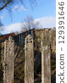 Weathered Fence Posts Standing Strong Against a Beautifully Clear Sky During Daylight 129391646