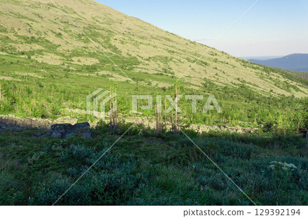 mountain landscape of the Northern Urals with dwarf trees in the foreground mountain landscape of the Northern Urals with dwarf trees in the foreground 129392194