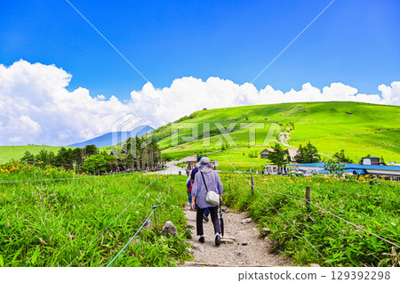 Walking through Kirigamine Kurumayama Plateau in summer Walking through Kirigamine Kurumayama Plateau in summer 129392298