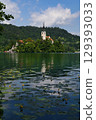 布萊德湖上的聖瑪麗教堂和睡蓮 129393033