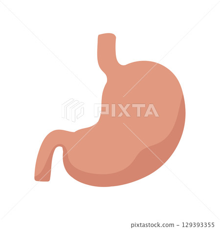 Medical material with cute hand-drawn illustrations of the human stomach and anatomical diagrams 129393355