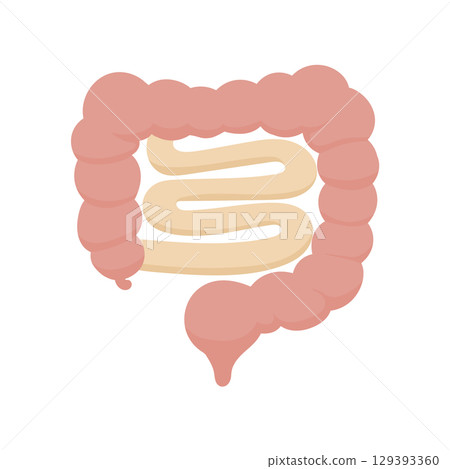 帶有可愛手繪人體腸道和消化道解剖插圖的醫療材料 129393360