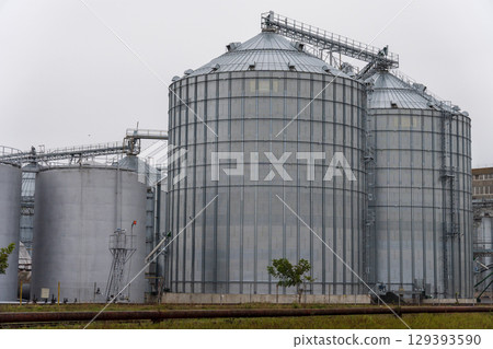 Large metal silos stand under a gray sky, storing grain at an agricultural site, showcasing modern farming infrastructure 129393590