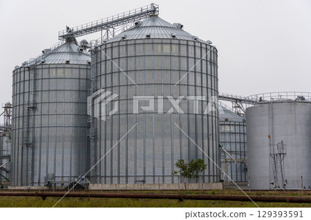 Heavy-duty grain silos provide storage at a farming location, showcasing industrial architecture and functionality under a gray sky 129393591