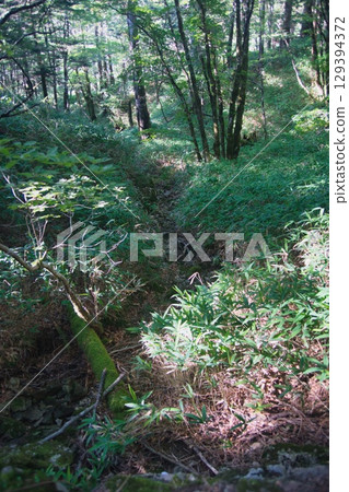 Odaigahara scenery 129394372