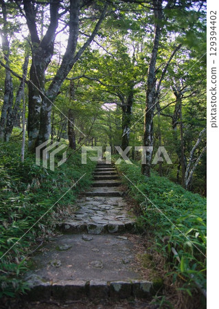 Odaigahara scenery 129394402