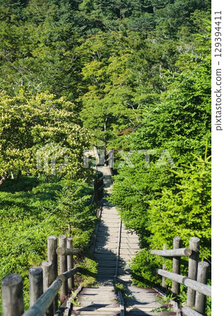 Odaigahara scenery Odaigahara scenery 129394411