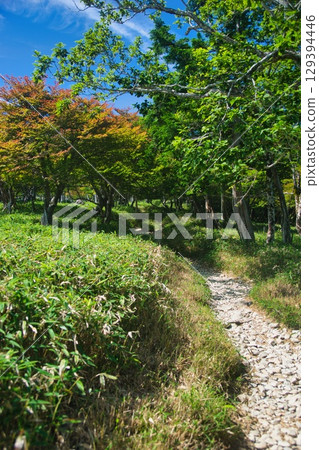 Odaigahara scenery Odaigahara scenery 129394446
