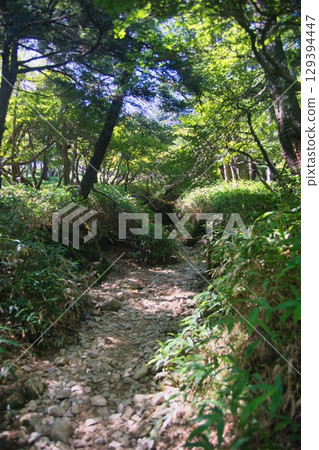 Odaigahara scenery Odaigahara scenery 129394447