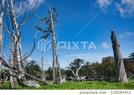 Odaigahara scenery Odaigahara scenery 129394452