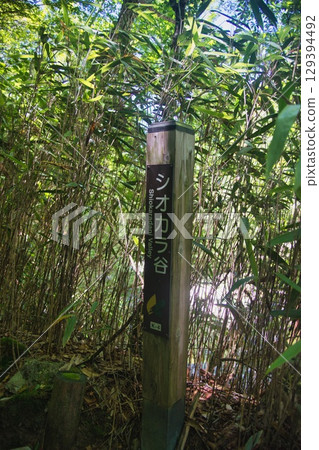 小田原原風光 129394492