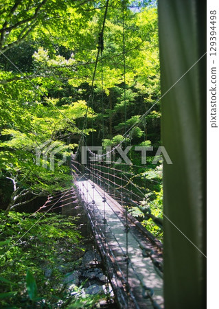 小田原原風光 小田原原風光 129394498