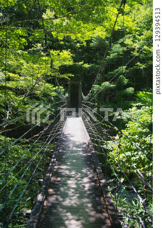 小田原原風光 129394513