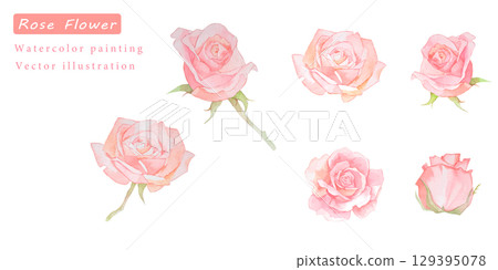 Beautiful watercolor pink rose vector illustration set Beautiful watercolor pink rose vector illustration set 129395078
