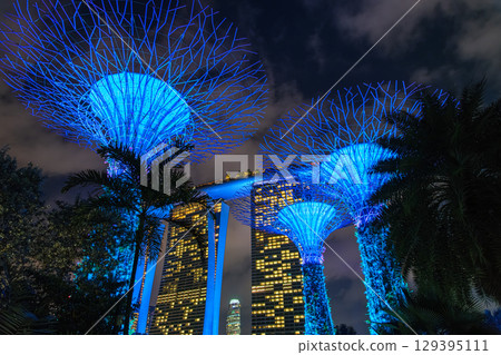 Gardens by the Bay at night in Singapore Gardens by the Bay at night in Singapore 129395111