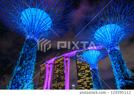 Gardens by the Bay at night in Singapore 129395112