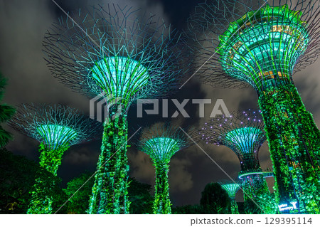 新加坡濱海灣花園的夜景 129395114