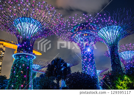 新加坡濱海灣花園的夜景 129395117