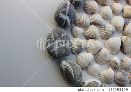 Concept for logotype or titles with round pattern of sea shells and smooth pebbles Concept for logotype or titles with round pattern of sea shells and smooth pebbles 129395199