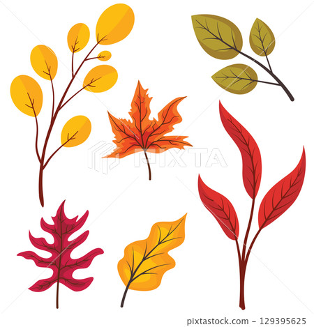 Autumn leaves hand drawn style isolated on white background. Flat autumn forest leaves. Autumn leaves hand drawn style isolated on white background. Flat autumn forest leaves. 129395625