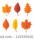 Flat autumn forest leaves collection isolated on white background. 129395626