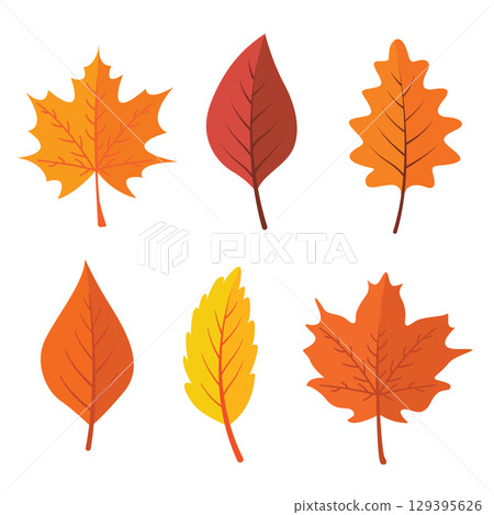 Flat autumn forest leaves collection isolated on white background. Flat autumn forest leaves collection isolated on white background. 129395626