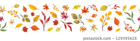 Seamless horizontal border with autumn leaves pattern, isolated on white background. Design for harvest holiday. 129395628