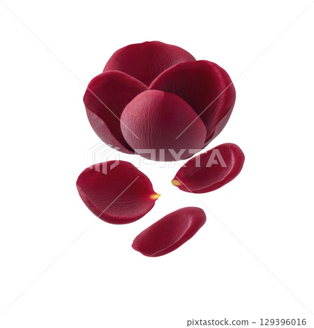 Vibrant red rose with delicate petals is beautifully arranged, showcasing its natural elegance and intricate texture. petals are scattered artistically, creating sense of movement and grace 129396016