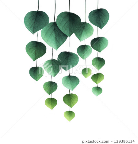 Cascading arrangement of green heart shaped leaves creates soothing and natural aesthetic. leaves vary in shades from dark to light green, adding depth and texture to composition 129396134