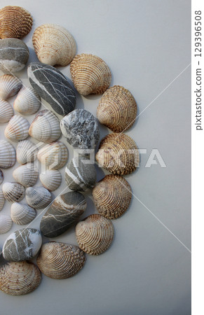 Variety Seashells And Smooth Pebbles Lined Out In A Circle At A Side Of Image Variety Seashells And Smooth Pebbles Lined Out In A Circle At A Side Of Image 129396508