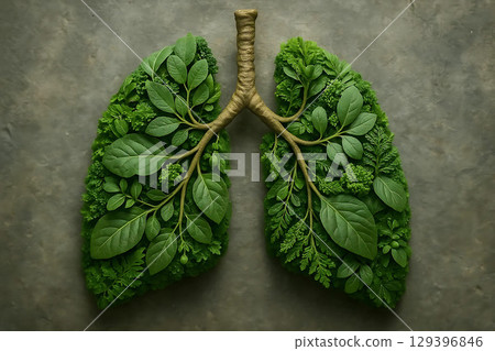Lungs of Nature Botanical Representation of the Respiratory System Lungs of Nature Botanical Representation of the Respiratory System 129396846