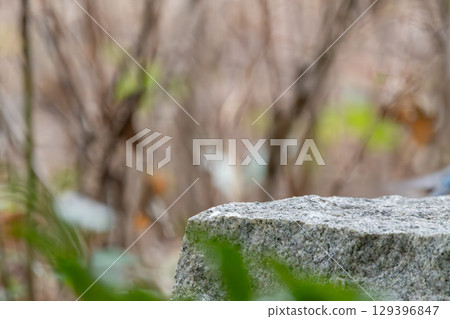 長滿青苔的石頭和秋天的顏色背景 129396847