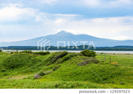 小清水原始花園（北海道，7月） 129397023