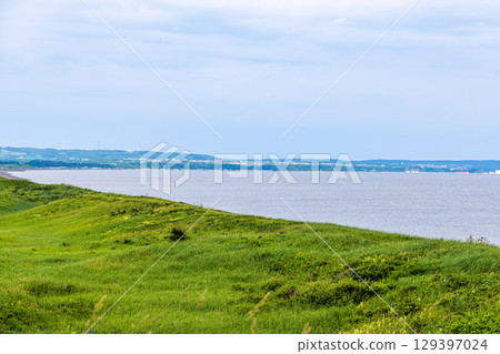 小清水原始花園（北海道，7月） 129397024