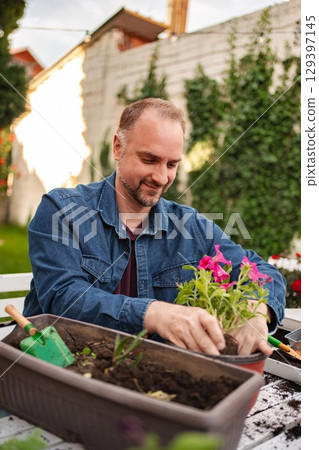Gardener nurtures vibrant flowers in a sunlit backyard Gardener nurtures vibrant flowers in a sunlit backyard 129397145