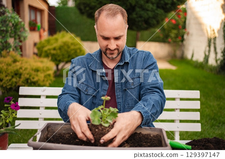 Gardening in the afternoon sunshine at home backyard Gardening in the afternoon sunshine at home backyard 129397147