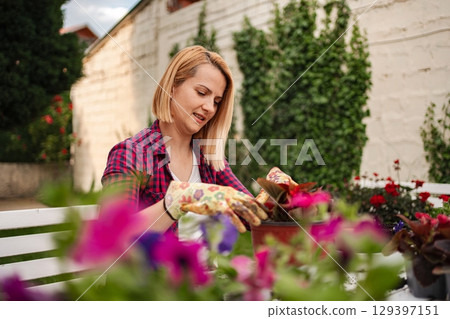 Gardener tending to vibrant flowers in a sunny backyard 129397151