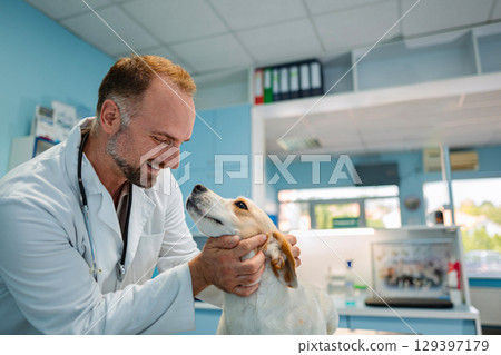 Caring veterinarian interacts lovingly with a dog in a clinic 129397179