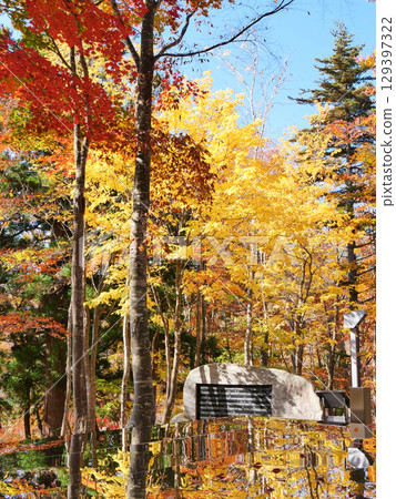 Autumn at Kuuki Shrine (Asahi Town, Yamagata Prefecture) 129397322