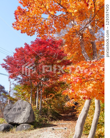 Autumn at Kuuki Shrine (Asahi Town, Yamagata Prefecture) Autumn at Kuuki Shrine (Asahi Town, Yamagata Prefecture) 129397450
