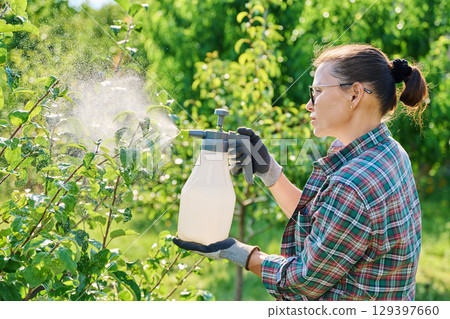 Female with garden sprayer spraying apple tree 129397660