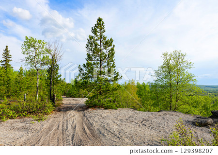 Gravel biking Road Through Wilderness Forest in Spring Gravel biking Road Through Wilderness Forest in Spring 129398207