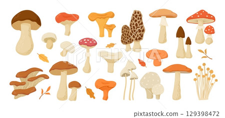 Set of edible and poisonous mushrooms collection. Cartoon vector illustration. Cep, Champignon, Chanterelle, Aspen, Amanita, Morel. Autumn harvest. 129398472