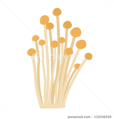 Amanita fungus vector illustration. Poisonous mushrooms in forests 129398509