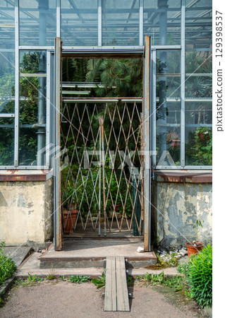 Front view of entrance to the old glass greenhouse with open door. Glasshouse during ventilation. Front view of entrance to the old glass greenhouse with open door. Glasshouse during ventilation. 129398537