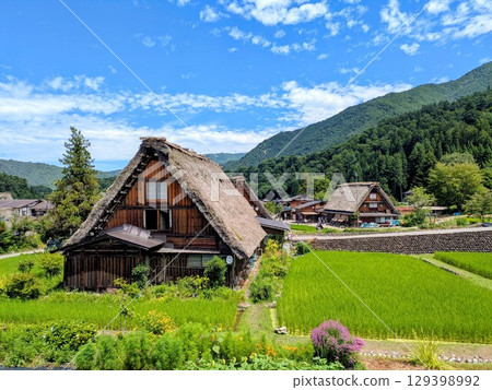 Gassho-zukuri and Gassho Village in Shirakawa-go 129398992
