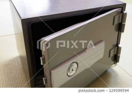 safe safe 129399594