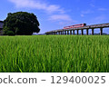 Kashima Rinkai Railway 6000 series diesel railcar traveling through the countryside 129400025