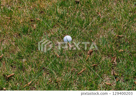 Lofted ball rolling on the grass 129400203