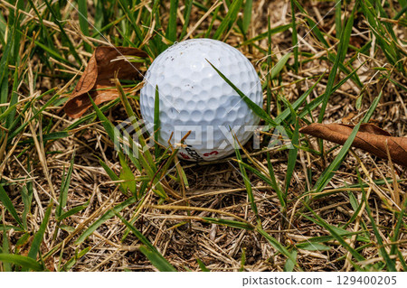 高球在草地上滾動 129400205